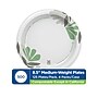 Dixie Pathways 8.5” Paper Plates, Multicolored, 500/Carton (UX9WS)~#|#~2F8A88D2-DBA3-446D-B2CD3BC0585E649F_sc7