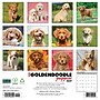 2027 Willow Creek Goldendoodle Puppies  12" x 12" Monthly Wall Calendar (60452)~#|#~2FB040B5-82FA-46DD-A0CC3AAE696FE65E_sc7