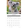2026 Willow Creek Animal Antics 12" x 12" Monthly Wall Calendar (57735X)~#|#~2FB609FF-C75B-4BE1-9F8D59495B644752_sc7