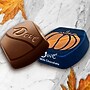 Dove Promises Harvest Pumpkins Milk Chocolate Pieces, 8.87 oz. (370933)~#|#~2FB685B1-16E5-4230-9905C42E1D2F9DDD_sc7
