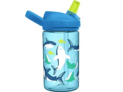 CamelBak Eddy+ Water Bottle
