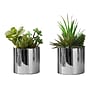Monarch Specialties Inc. 7" Artificial Succulent Plant in Pot, 2/Set (I 9550)~#|#~30198CF2-D596-4361-8E55372A06970CB9_sc7