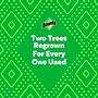 Bounty Select-A-Size Double Plus Paper Towels, 2-ply, 103 Sheets/Roll, 8 Rolls/Pack (92740)~#|#~303641FB-9AE1-4CB3-942CE2B79FF1E847_sc7