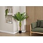 Monarch Specialties Inc. 43" Artificial Banana Tree in Pot (I 9567)~#|#~304BCCB4-020A-470A-9359977211CB0B09_sc7