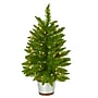 Nearly Natural 2-ft. Providence Pine Pre-Lit Artificial Christmas Tree, 35 Lights (T1561)~#|#~307EFF1F-600A-409E-B4BA7BDC2DF66001_sc7