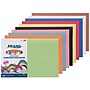 Prang 12" x 18" Construction Paper, Assorted Colors, 100 Sheets/Pack, 3 Packs/Bundle (PAC94460-3)~#|#~3088E7F5-F1DD-48B9-88978F84D886A90E_sc7
