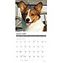 2026 Willow Creek Corgis 12" x 12" Monthly Wall Calendar (50835)~#|#~308FF76E-9BC2-4854-BF9A219469116F6F_sc7