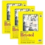 Strathmore 300 Series 9" x 12" Tape Bound Bristol Sketch Pad, 20 Sheets/Pad, 3/Bundle (STTP342903-3)~#|#~30B55D9F-D615-4A77-86A2371A5268D865_sc7