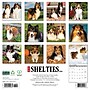 2026 Willow Creek Shelties 12" x 12" Monthly Wall Calendar (52761)~#|#~30B8A3EA-B922-4B42-9002F96A1EC3E9F6_sc7