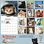 2026 TF Publishing Kittens 12" x 12" Monthly Wall Calendar, Multi (26-1013)~#|#~30C7FBBA-966E-401C-93ECF8790529C38E_sc7