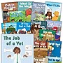 Teacher Created Materials Decodable Books: Read & Succeed Boxed Set, 15/Set (SEP145497)~#|#~30CE77CA-CE68-4293-885839413316E894_sc7
