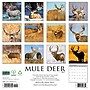 2027 Willow Creek Mule Deer 2027 12" x 12" Wall Calendar 12" x 12" Monthly Wall Calendar, Assorted Colors (61350)~#|#~30E5446C-B967-45A7-A7E5C998A3735900_sc7