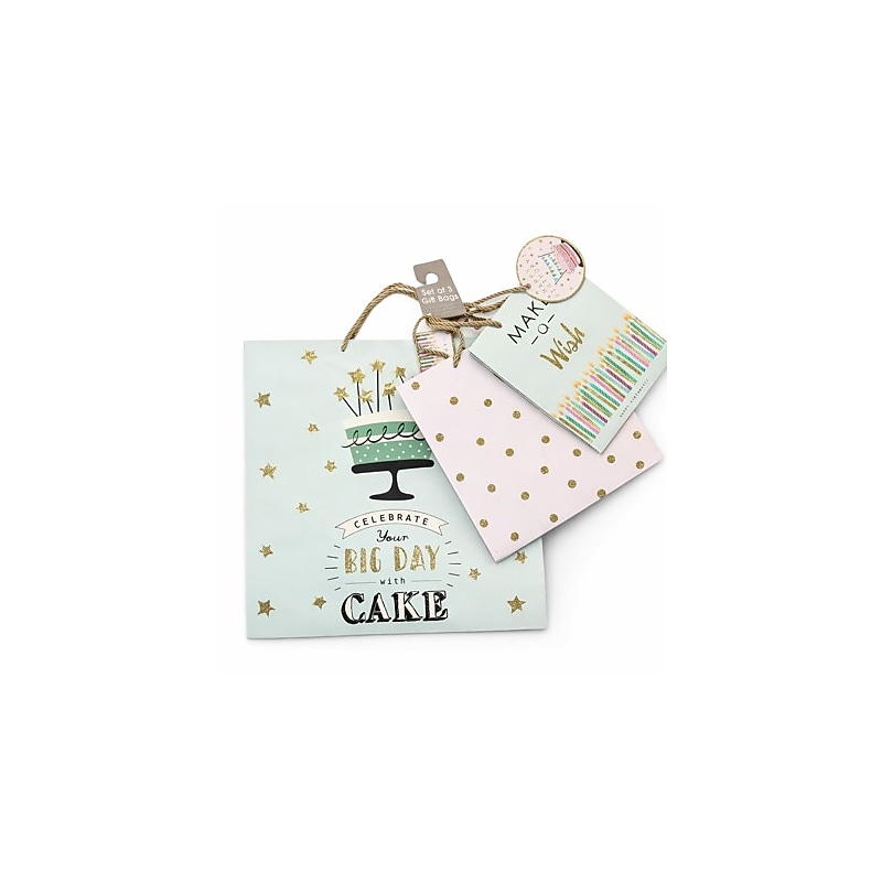 Simple Pleasures Birthday Large Gift Bags, Multicolored, 48/Carton (S2032-1871) image 1