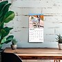 2026 BrownTrout Australian Cattle Dogs 7" x 7" Monthly Wall Calendar (9798330702183)~#|#~30FCB287-1E10-4775-B961C546A5B6B135_sc7