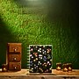 2026 Me & My Big Ideas Dark Garden 8.75" x 9.75" Weekly & Monthly Standard Planner, Plastic Cover (PPCD12-674)~#|#~3114B757-A0FA-40C3-87AC73512FEB06B7_sc7