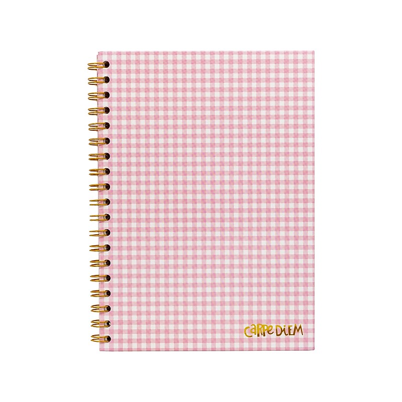 Carpe Diem Ballerina Pink Check 1-Subject Notebook, 7.5" x 9.75", Wide-Ruled, 80 Sheets, Pink/White (9377-CD) image 1