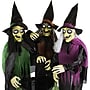 Haunted Hill Farm Animatronic Witches with Cauldron (HHWITCH-15FLS)~#|#~312AF938-C8BC-419F-8364DDAE8C3FFD9D_sc7