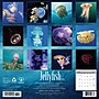 2026 Willow Creek Jellyfish 12" x 12" Monthly Wall Calendar (55892)~#|#~3131482D-2C86-43A8-B2FD3B61822FB926_sc7