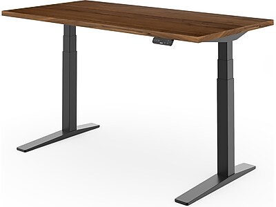 FlexiSpot E7Pro Electric Adjustable Standing Desk