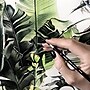 Silver Brush Black Velvet Small Round Brushes, 4/Pack (SLVBV3054)~#|#~3140B1EC-D2A2-48B3-B002D244EAB42805_sc7