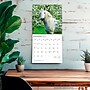 2026 BrownTrout Chevaux 12" x 12" Monthly Wall Calendar (9798330707362)~#|#~3158C42D-19D1-435D-AAF358341041D784_sc7