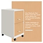 Space Solutions 2-Drawer Mobile File Cabinet, Letter Size, Lockable, 26.7"H x 14.25"W x 18"D, Pearl White/Platinum Oak (25854)~#|#~31793300-B3DC-4DE7-BC128304B1AF920B_sc7