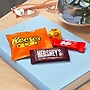 Hershey's Assorted Chocolate Variety Pack, 24.8 oz. (246-00013)~#|#~3195FDF8-F22D-4FF4-AC77E26F78480DD3_sc7