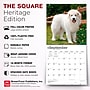 2027 BrownTrout Great Pyrenees 12" x 12" Monthly Wall Calendar (9798330712496)~#|#~319A6EDD-B8F8-4B86-BA61BB0B1C76A43B_sc7