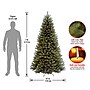 National Tree Company North Valley Spruce Artificial Christmas Tree (NRV7-500-70)~#|#~319D3B75-4210-4F79-9B5C5C47888DDCAF_sc7