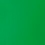 Liquitex BASICS Acrylic Paint Tube, Light Green Permanent, 250 mL (LIQ4385312)~#|#~319F063B-B1C0-4BFF-88B21572E7C2B668_sc7
