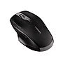 Cherry Wireless Ergonomic Ambidextrous Optical 2.4 GHz Mouse, Black (JW-T0320)~#|#~319F62B1-0B6B-49D8-87F5CEC4BDF55723_sc7