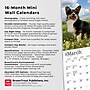 2026 BrownTrout Welsh Corgis 7" x 7" Monthly Wall Calendar (9798330706228)~#|#~31AB7416-6264-48CF-80BB462EFF21E7F5_sc7