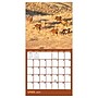 2027 TF Publishing Horses 7" x 7" Monthly Wall Calendar, Multicolored (27-2001)~#|#~31B19E63-555F-46CA-B81041A3C1BF73AE_sc7