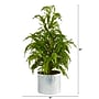 Nearly Natural Cedar Pine Natural Look Artificial Tree in Decorative Planter, 20" (T1506)~#|#~31BEC923-86DF-4878-B493332FFFFC7DE1_sc7