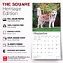 2027 BrownTrout Siberian Huskies 12" x 12" Monthly Wall Calendar (9798330712694)~#|#~31D6A9B1-E864-40EA-8DAAB1284D8A5E53_sc7