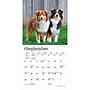 2027 BrownTrout Australian Shepherds 7" x 7" Monthly Wall Calendar, Assorted Colors (9798330709878)~#|#~31DBDEDA-AD7E-4EE5-8D92FA30A2391295_sc7