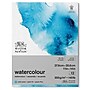 Winsor & Newton 11" x 14" Watercolor Pad, 12 Sheets/Pad (WNX6667003)~#|#~31F87980-0180-424B-8D09E28C5D97D698_sc7