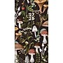 2026-2028 Willow Creek Mushrooms 3.5" x 6.5" Monthly Pocket/Wallet Calendar, Assorted Colors (66768)~#|#~320633D7-C2BF-4C67-BCDEA9E6EE308E49_sc7
