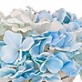 National Tree Company 8" Blue Hydrangea Bouquet in Glass Vase (MT81-47HYD20GBL)~#|#~3206CE78-345E-4401-B79D7575521CAFE1_sc7