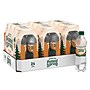 Poland Spring Orange Flavored Sparkling Water, 16.9 oz., 24 Bottles/Carton (12349571/122060)~#|#~F694E035-94E9-4621-BF7A7E3817701EF1_sc7