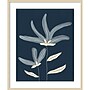 Amanti Art Two Flowers by Alisa Galitsyna Wood Framed Wall Art Print, 28"W x 33"H (A42678648387)~#|#~3211671E-0439-4139-B74AE916E04A1D9A_sc7