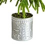 Nearly Natural Artificial Real Touch Down Swept Norfolk Island Pine in Christmas Tin Metal Planter, 20" (T5389)~#|#~321886DD-62F9-4E0C-9D6E71CFFBEBB6FE_sc7