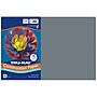 Tru-Ray 12" x 18" Construction Paper, Slate, 50 Sheets/Pack (PAC103060)~#|#~321F4FFE-8D6D-4E78-A7EA3FFCBF1C0BB5_sc7