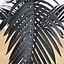 Nearly Natural Artificial Halloween Black Paradise Palm Tree, 4' (T5142)~#|#~322B6EC4-F5B5-42D4-871E116F2CBFE244_sc7