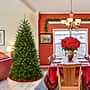 National Tree Company 6.5' North Valley Spruce Artificial Christmas Tree (NRV7-500-65)~#|#~3235976C-E18F-4F0B-93F4807E88FAA16B_sc7