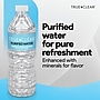 True Clear™ Purified Water, 16.9. oz., 24 Bottles/Carton (TC54594)~#|#~3262F410-1761-4B5A-85E7E3A634839E11_sc7