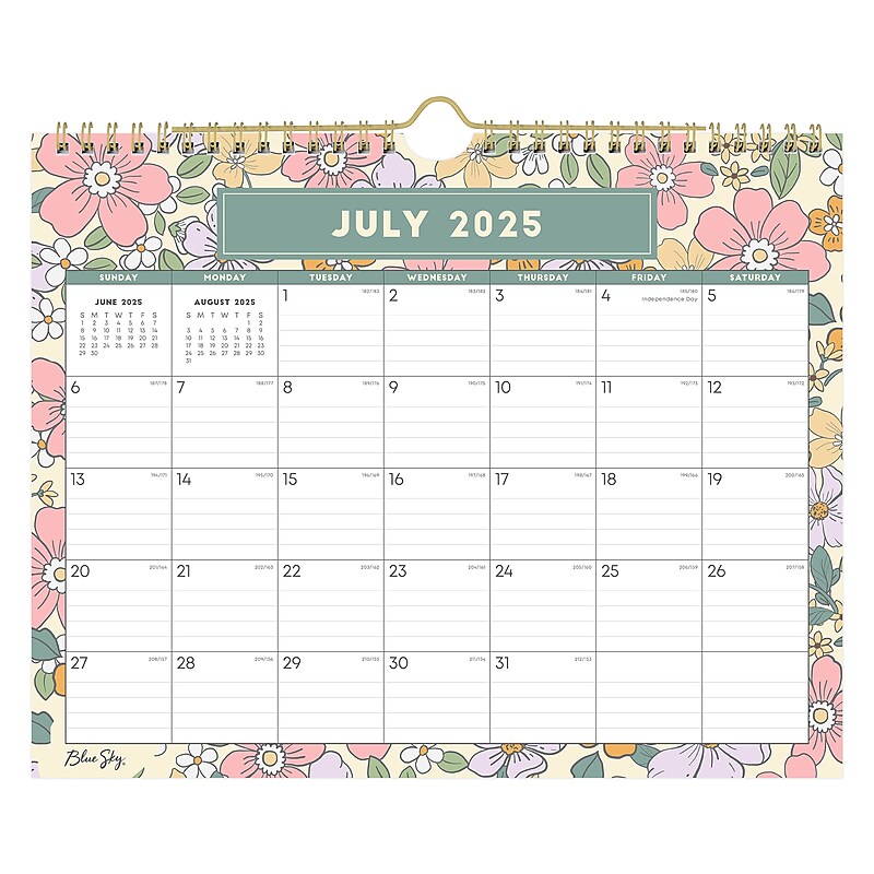 2025-2026 Blue Sky Aylin 11" x 8.75" Academic Monthly Wall Calendar, Multicolored (155396) image 1