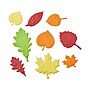 hand2mind Sensory Leaves Math Activity Set (94460)~#|#~326A8118-D4DD-4F33-8ACE014C408AFF45_sc7