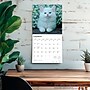 2026 BrownTrout I Love Kittens 12" x 12" Monthly Wall Calendar (9798330704149)~#|#~3271F3C0-4952-4321-93C175ECB62839DC_sc7