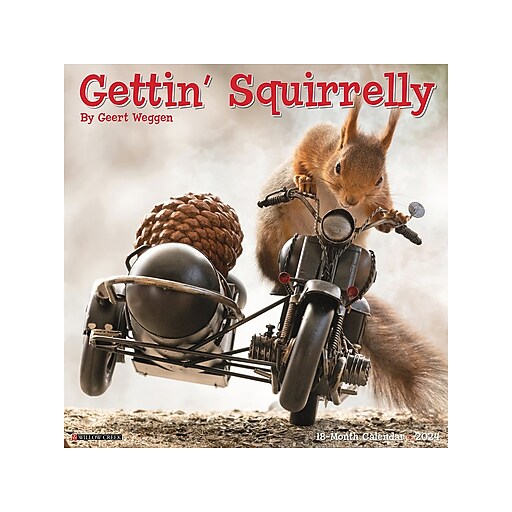 2024 Willow Creek Gettin' Squirrelly 12" x 12" Monthly Wall Calendar